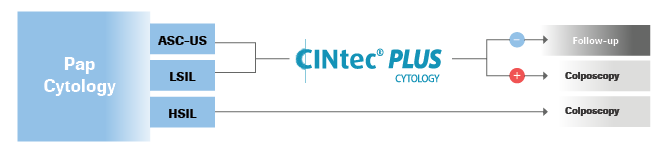 CINtec PLUS Cytology Algorithm Triage HPV Cotesting_v3_05.14.20