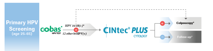 CINtec PLUS Cytology Algorithm_v5.2_05.14.20_NoText_splitA