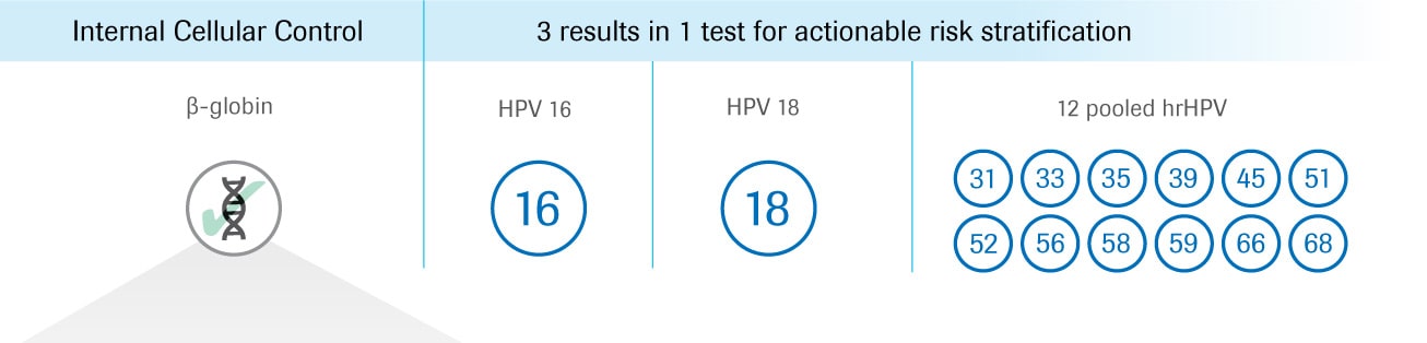 cobas-test-visual-50-50